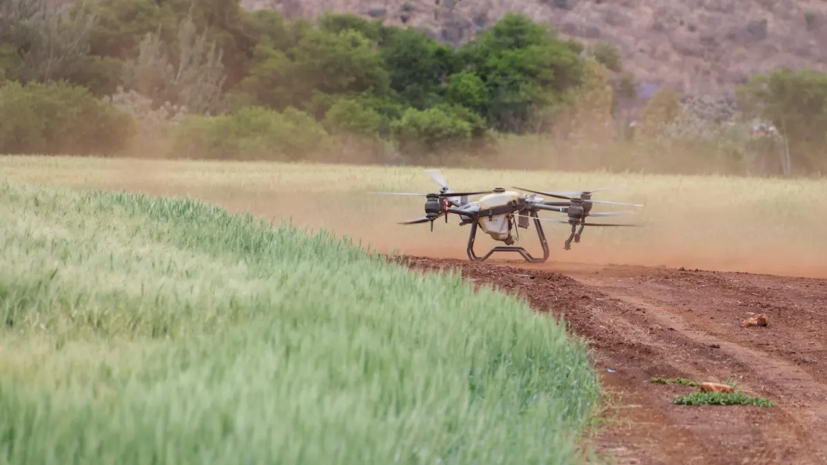 数智乡村振兴